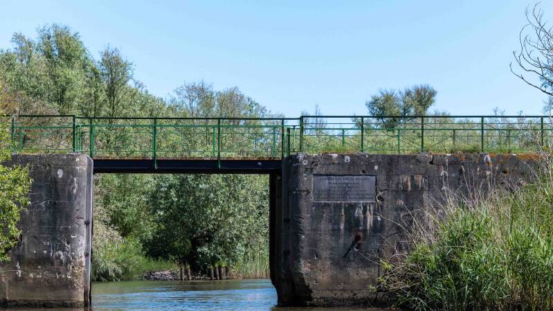 biesbosch-560-standard-y1eo74.jpg