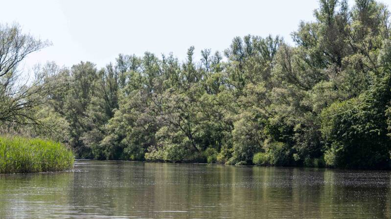 biesbosch-613-standard.jpg