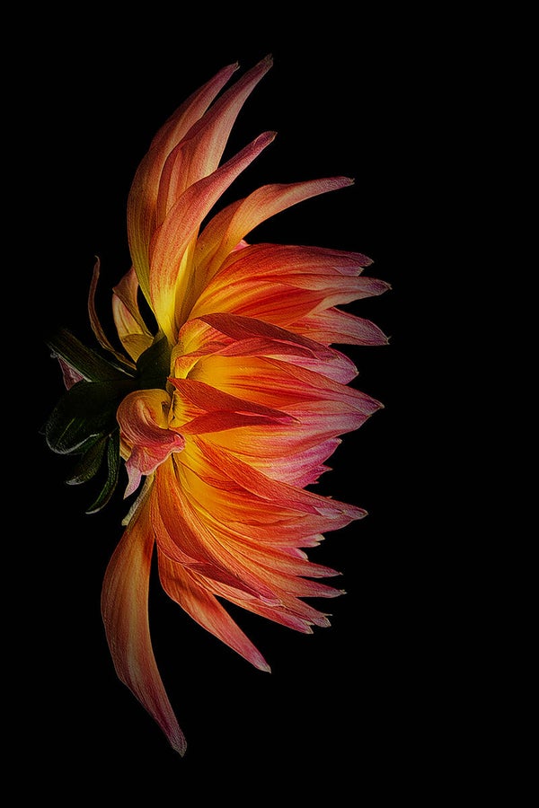 Fine Art prints