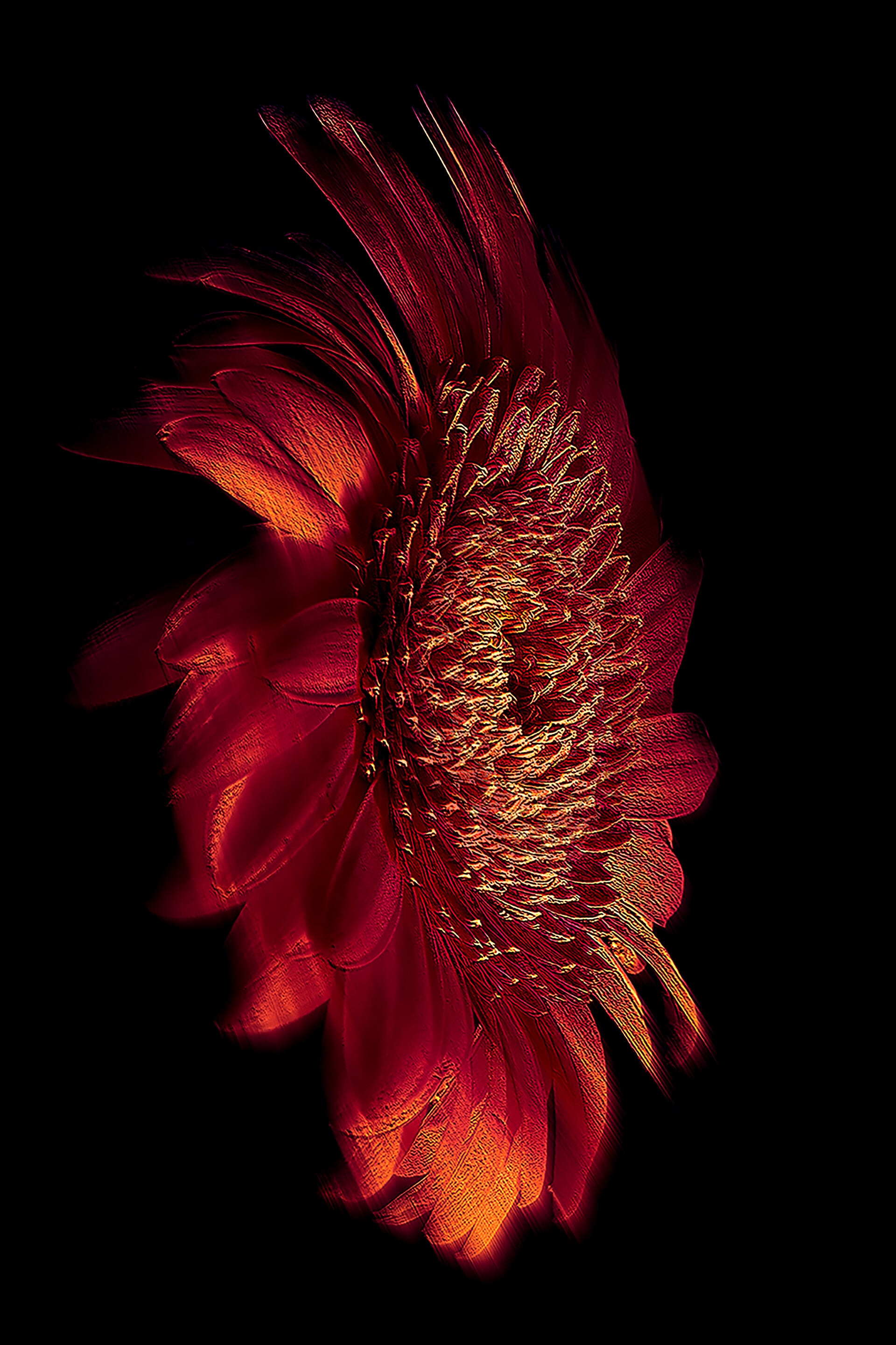 Fine Art prints