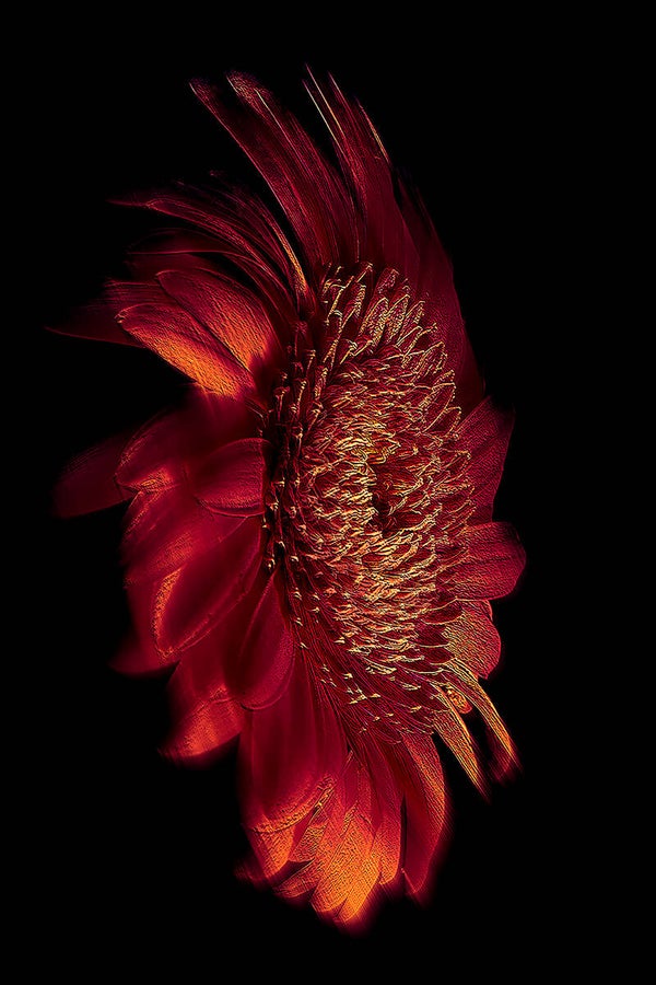 Fine Art prints