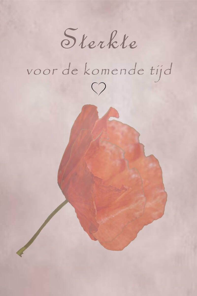 7.klaproos-met-hartje