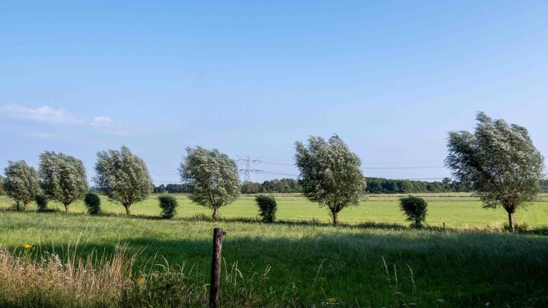 overasselt-12-standard-u4b543.jpg