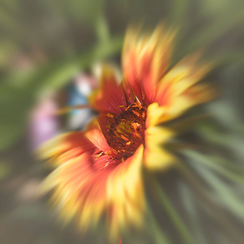zonnehoed-tuin-standard.jpg