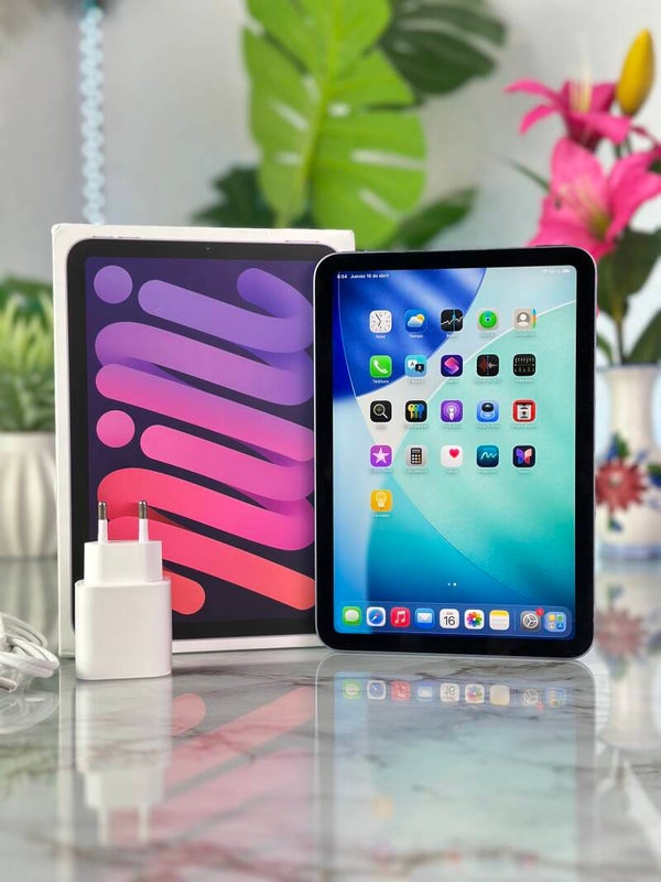 iPad mini 256gb