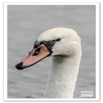 _DSC0256-2.png