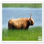 _DSC0776-4.png