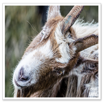 _DSC0519-2.png