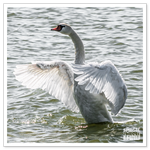 DSC_5004-2.png
