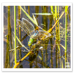 _DSC0404-4.png