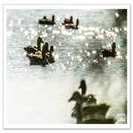 HDR_7115-2.png