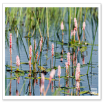 _DSC0331-2.png
