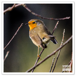 _DSC0122-2.png