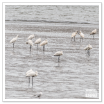 DSC_5567-2.png