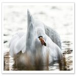 _DSC0456-2.png