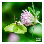 _DSC0167-2.png