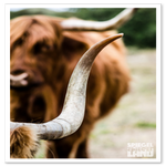 _DSC0238-2.png
