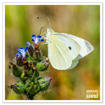 _DSC0561-2.png