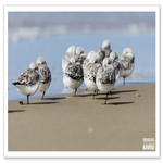 _DSC02672-1-2.png