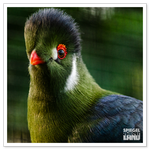 _DSC0231-2-2.png