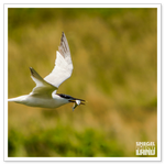 _DSC0108-3.png