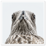 _DSC0544-2.png
