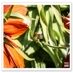 DSC_0904-2.png