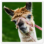 _DSC0057-4.png