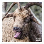 _DSC0516-2.png