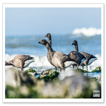 _DSC0613-2.png