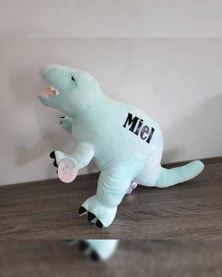 Metoo - Dinosaurus