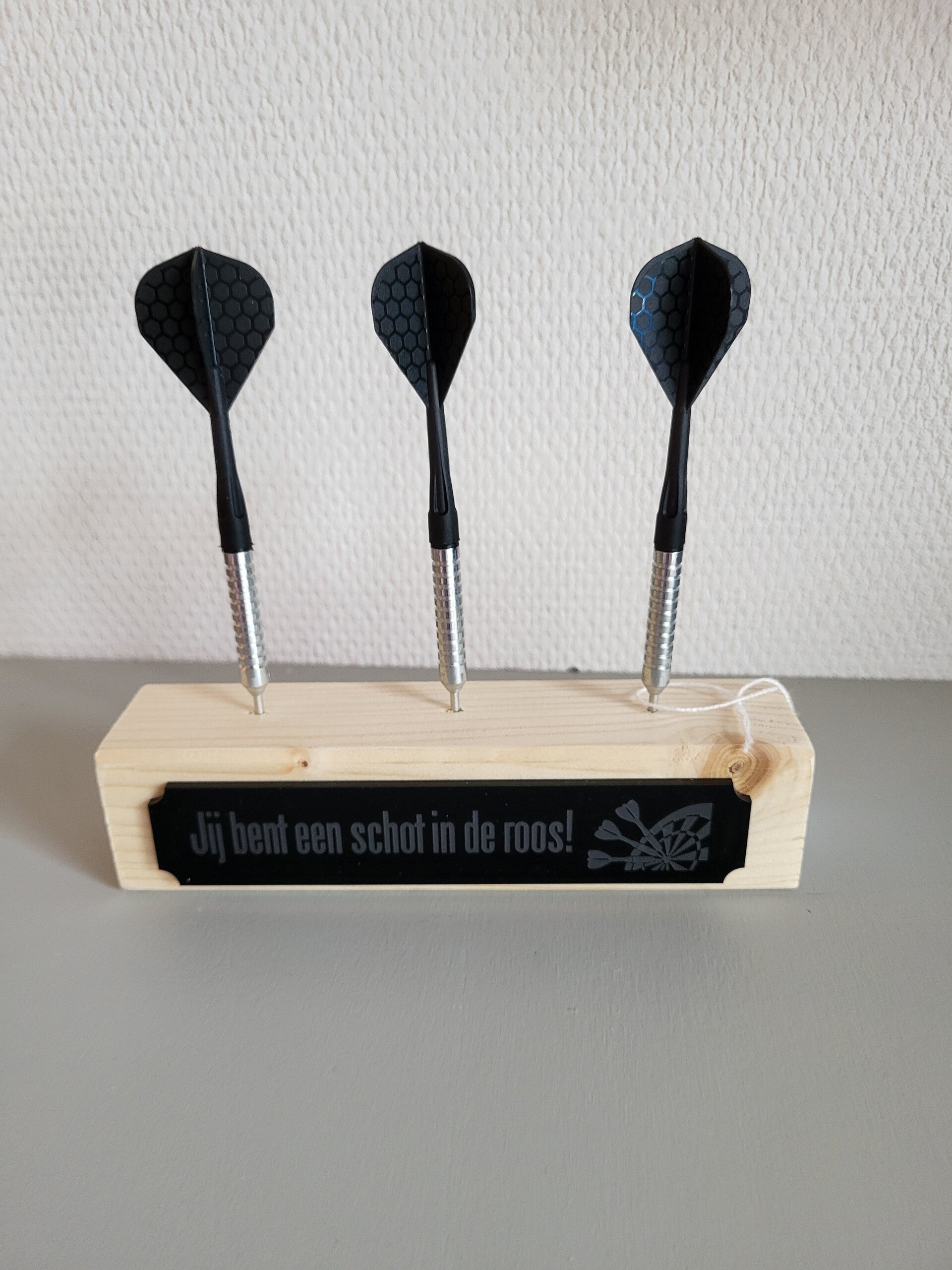 Dartshouder - Schot in de roos