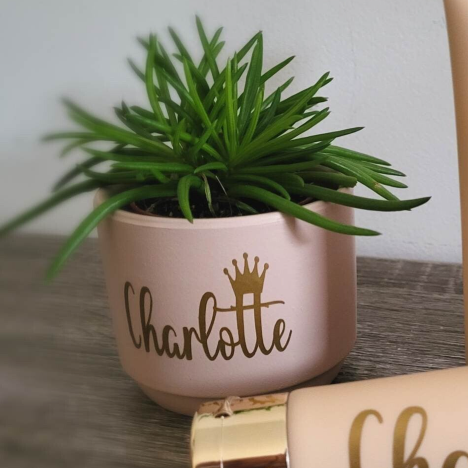 Bloempotje keramiek Blush