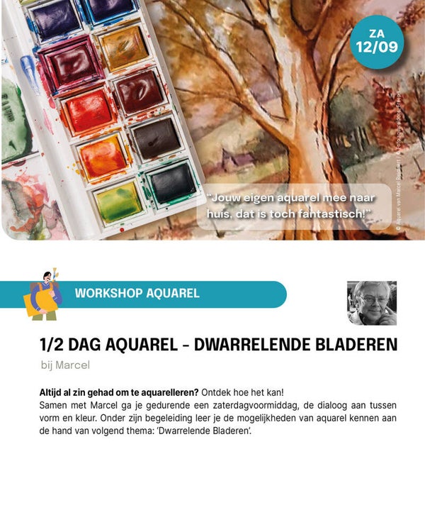 1/2 DAG AQUAREL - DWARRELENDE BLADEREN