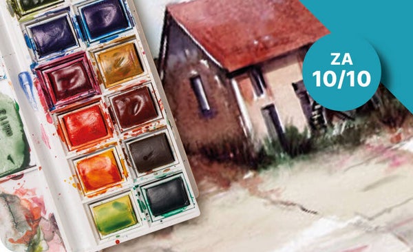 1/2 DAG AQUAREL - VLAAMSE WATERMOLENS