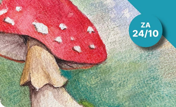 1/2 DAG AQUAREL - PADDENSTOELEN
