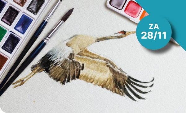1/2 DAG AQUAREL - EUROPESE & EXOTISCHE VOGELS