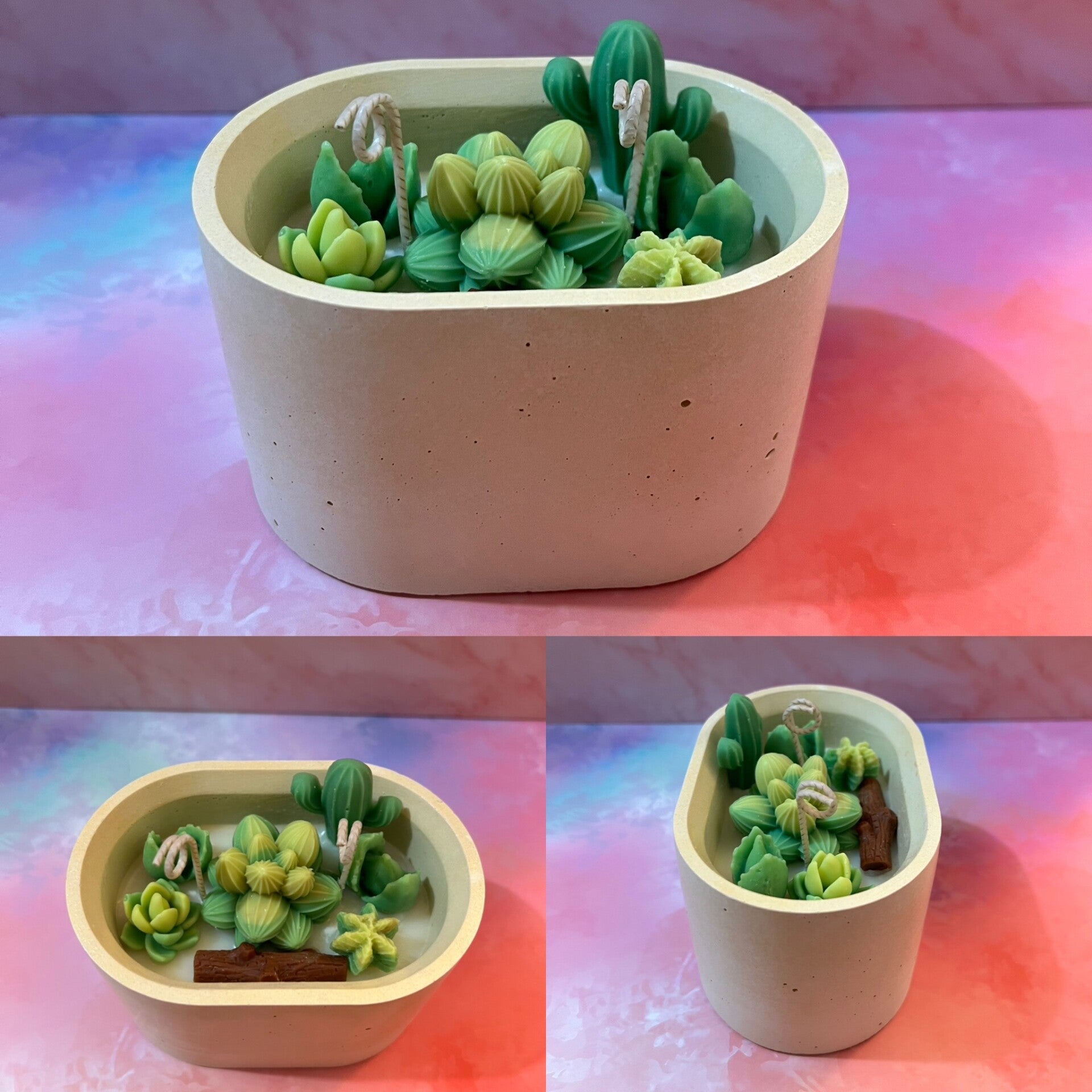 Bougie parfumée plantes succulentes 230g