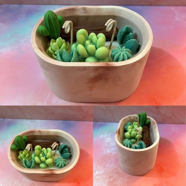 Bougie parfumée plantes succulente 230g