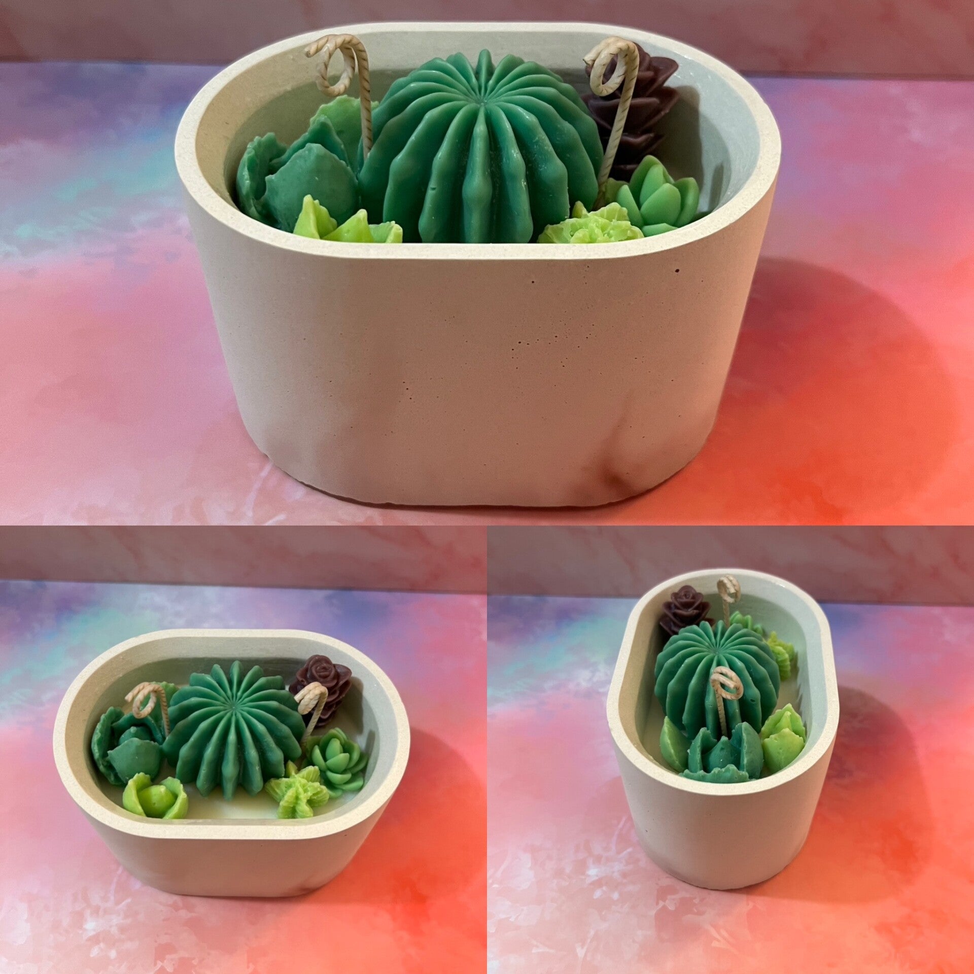 Bougie parfumée plantes succulentes 230g