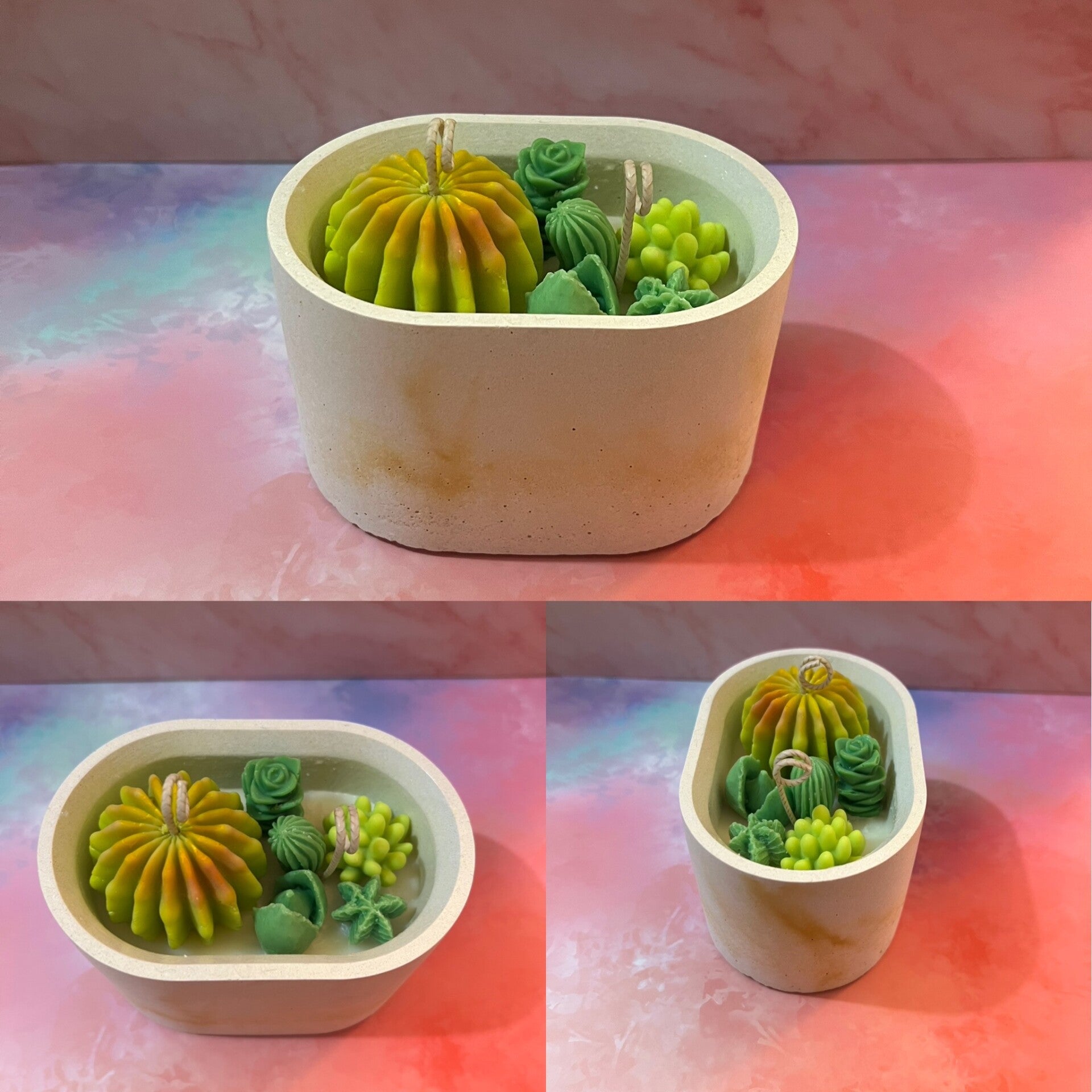 Bougie parfumée plantes succulentes 230g