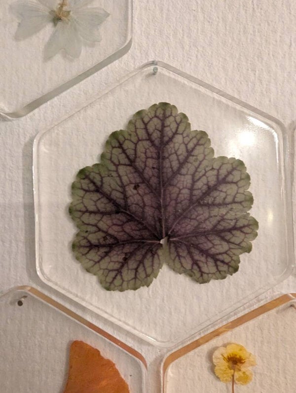 Bundelprijs per 5 - Hexagon met bloemen / blaadjes