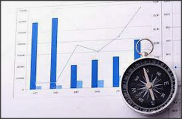 xVision Business Navigator Professional