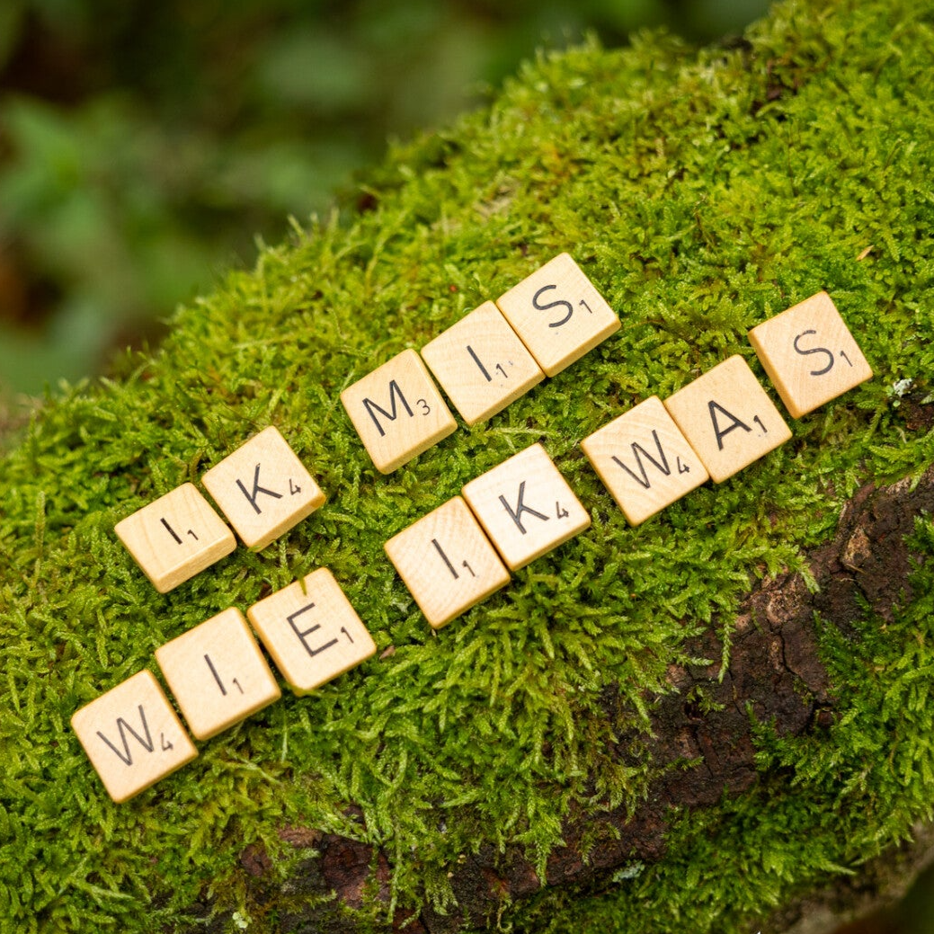 Rouwverwerking in Leeuwarden en Friesland – steun voor wie een partner verloren heeft, begeleiding in de natuur.
