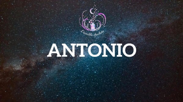 panier antonio