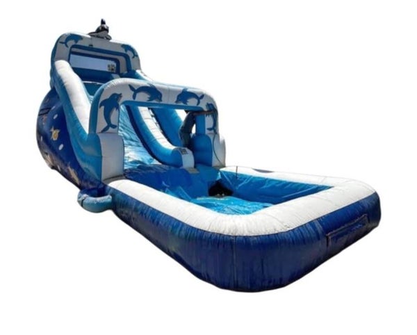 The Blue Dolphin