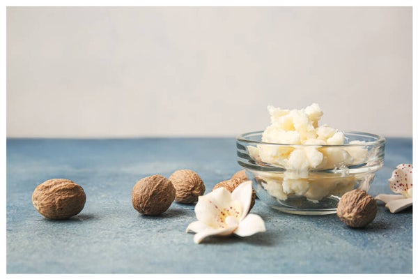 Shea Butter & Warm Vanilla