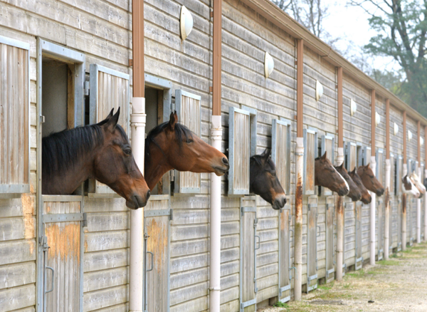 Hébergement mensuel en boxe