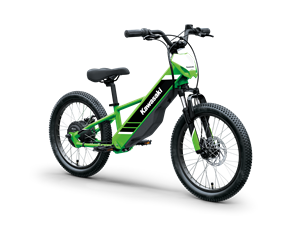 Kawasaki ELEKTRODE 20