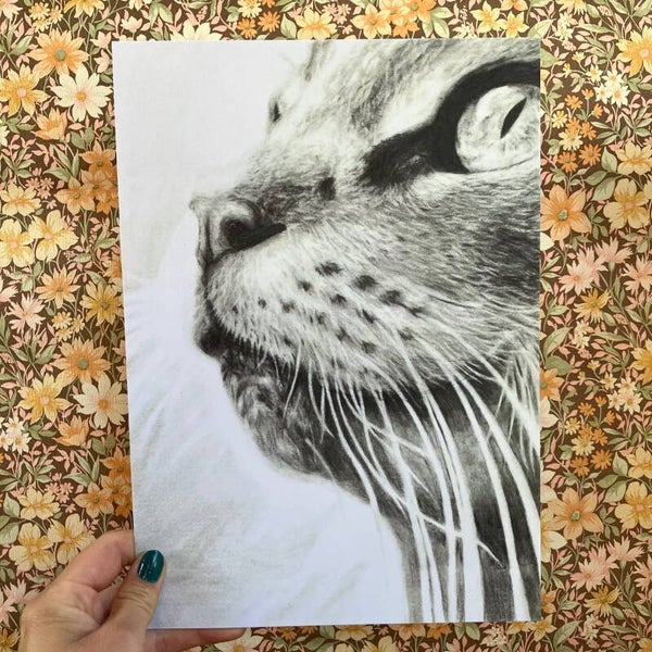 Print kat Moortje A4